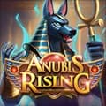Anubis Rising