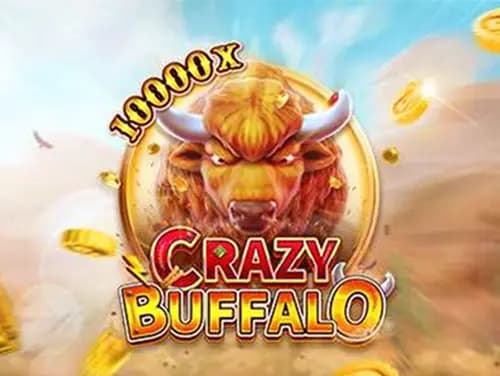 crazy buffalo