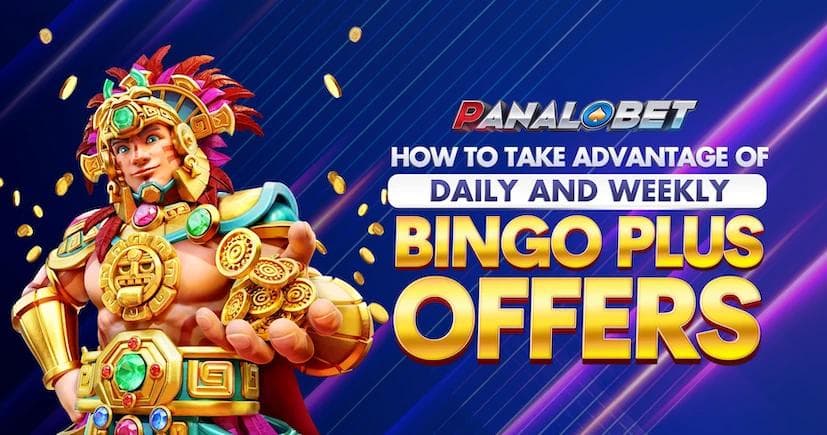 How to Take Advantage of Daily and Weekly Bingo Plus Offers